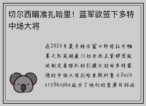 切尔西瞄准扎哈里！蓝军欲签下多特中场大将