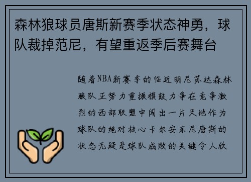 森林狼球员唐斯新赛季状态神勇，球队裁掉范尼，有望重返季后赛舞台